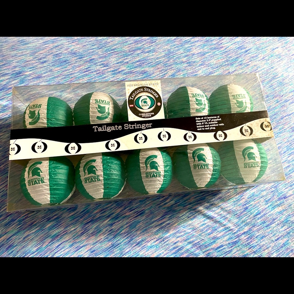 Michigan State tailgate stringer - Picture 3 of 3